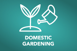 Domestic Gardening